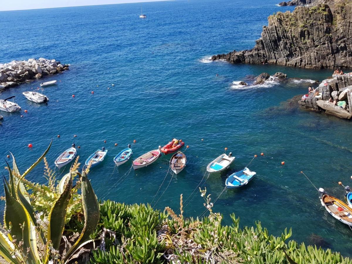 Vitis Vitae Vernazza, San Bernardino 5 Terre Dış mekan fotoğraf